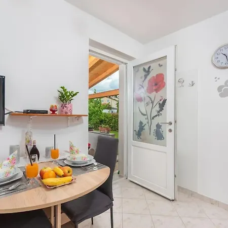 Jani By Briskva * 波雷奇